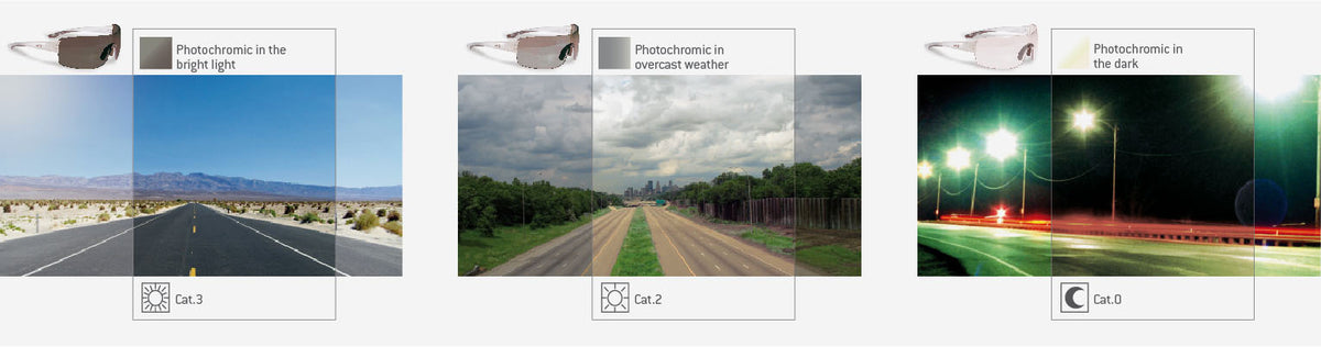 Bertoni Sunglasses F308C - Studio Cycle